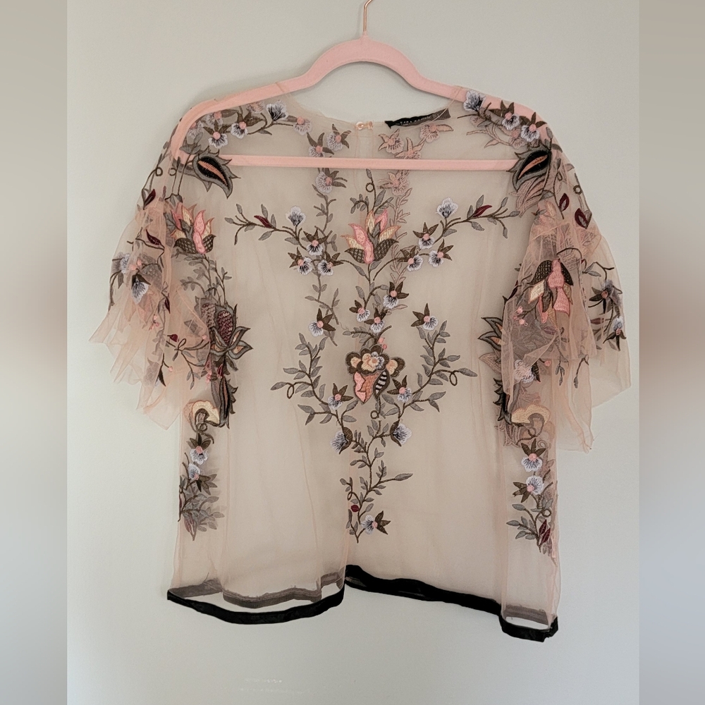 Zara Sheer Light Pink Top with Floral Embroidery And Flounce Sleeve
